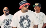 Image for Cypress Hill