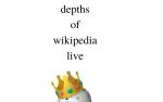 Image for DEPTHS OF WIKIPEDIA 