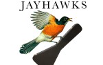 Image for THE JAYHAWKS with special guest RED DAUGHTERS