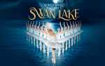 Image for World Ballet Company: Swan Lake