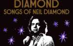 Image for DIAMOND: SONGS OF NEIL DIAMOND