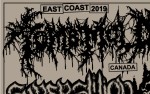 Image for Tomb Mold