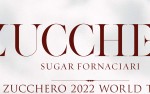 Image for Zucchero World Tour 2022