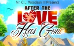 Image for After the Love Has Gone