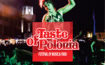 Image for TASTE OF POLONIA-GENERAL ADMISSION VALID ONE ENTRY ANY DAY