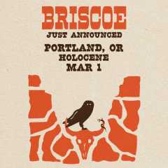 Image for Briscoe
