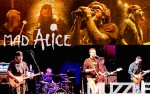 Image for Alice in Chains and Smashing Pumpkins Tribute Night with Mad Alice and Muzzle 