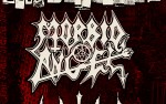 Image for Morbid Angel & Watain, with Incantation