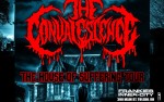 Image for The Convalescence