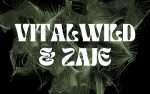 Vitalwild & Zaje - IN THE BAR