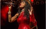 Image for A Salute to Donna Summer with Rainere Martin