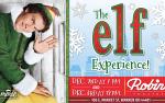 Image for THE ELF EXPERIENCE.