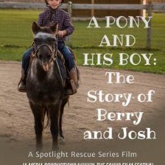 Image for A Pony And His Boy - EQUUS Film Festival