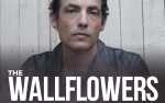 Image for The Wallflowers
