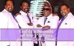 Image for Golden Sounds of the Platters 50's Tribute Show