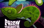 Image for The Lizards: Phish Tribute