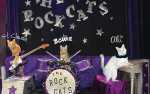 Image for ROCK CATS RESCUE PRESENTS THE AMAZING ACRO-CATS!