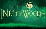 Into The Woods-Act 1 Matinee