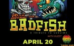 Image for Badfish: Tribute to Sublime 20th Anniversary Tour