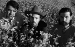 Image for the Avett Brothers