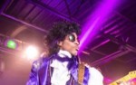 Image for Purple Masquerade A Tribute to Prince