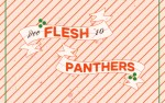 Image for Flesh Panthers