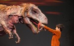 Image for ERTH'S DINOSAUR ZOO LIVE