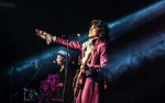 Image for PURPLE VEINS - The Essential Prince Tribute Band, with SOUL TIGHT COMMITTEE