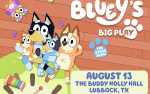 Bluey's Big Play 2024