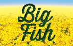 Image for Big Fish - Matinee