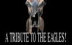 Image for HEARTACHE TONIGHT - A Tribute to the Eagles