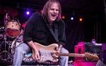 Image for Walter Trout with Nick Schnebelen Band