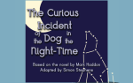 Studio Players presents "The Curious Incident of the Dog in the Night-Time" at the Carriage House Theatre