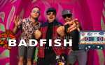 Image for Bad Fish: Sublime Tribute at Dr Pepper Park