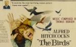 Image for Midweek Matinee: The Birds