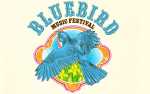 Image for Bluebird Music Festival - Saturday