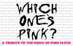 Image for Which One's Pink - A Tribute to the Music of Pink Floyd