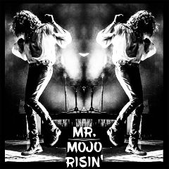 Image for Mr. Mojo Risin' - Doors Tribute