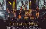 Image for FLEETWOOD GOLD - The Fleetwood Mac Experience