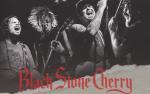 Image for Black Stone Cherry