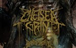 Image for Chelsea Grin: The Path to Suffering Tour at Red Flag