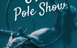 Image for STL POLE SHOW