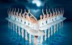 Image for World Ballet Company Presents Swan Lake