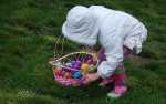 Image for Easter Egg Hunt Special