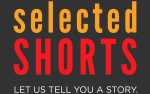 Selected Shorts: While You Were Sleeping