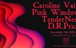 Image for Woman Crush Wednesday: Caroline Vain, Pink Window, TenderNest, D.R. Price