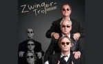 Image for Best of Zwinger-Trio - Sommer Open Air Pirna
