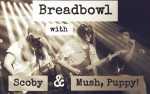 Breadbowl w/ Scoby and Mush, Puppy!