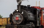 Image for CANCELLED*Steam Train Event!