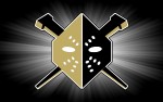 Image for Wheeling Nailers vs Indy Fuel